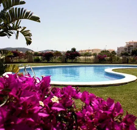 Harley * دينايا