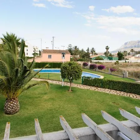 Harley * دينايا